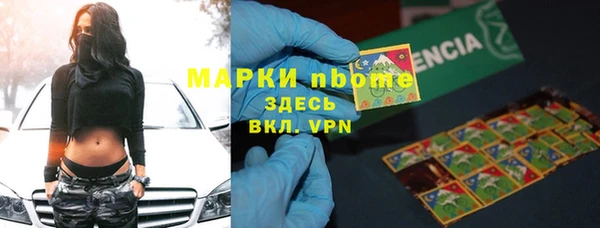 гидра Каменногорск