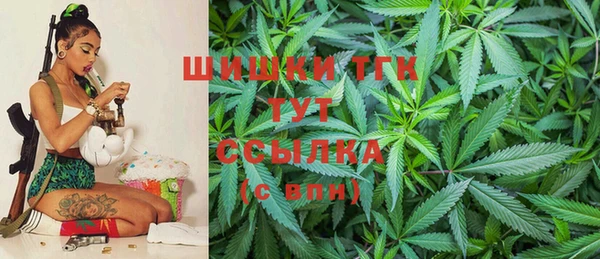 гидра Каменногорск
