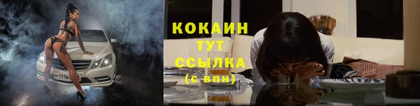 прущий лед Карпинск