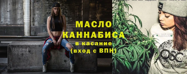 гидра Каменногорск