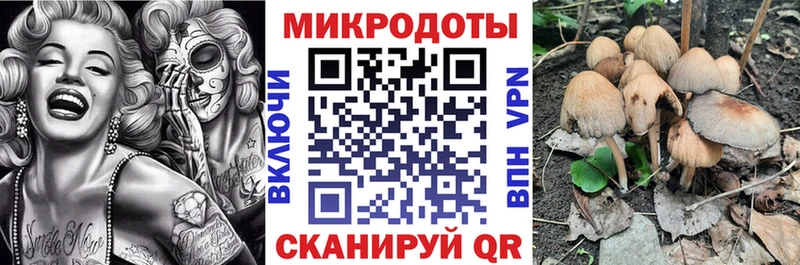 Купить  Белёв  Псилоцибиновые грибы мицелий 